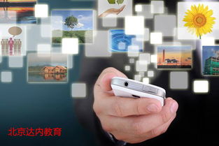 2017高考專業(yè)解讀 計算機專業(yè)前景展望——網絡與信息安全與軟件開發(fā)方向